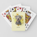 Search for furry playing cards dog