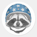 Search for racoon stickers Vintage