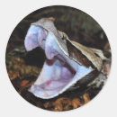 Search for reptile stickers Zoo
