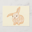 Search for transparent postcards Animal