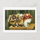 Search for pekinese Puppy