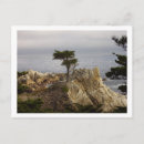 Search for cyprus postcards Tree