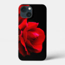Search for valentine rose iphone cases Beautiful