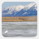 Search for tundra stickers Nature
