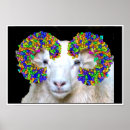 Search for biochemistry posters Biology