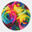 Search for rainbow rose stickers Cute