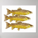 Search for trout posters Thom