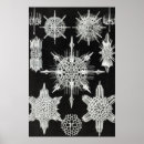 Search for aquatic posters Ocean life