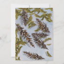 Search for cone christmas cards Evergreen