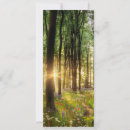 Search for paths invitations Trees