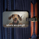Search for photo travel accessories Dog