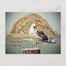 Search for comical birds postcards Ocean