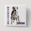 Search for spotted dog badges Dal