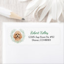 Search for white poodle dog return address labels Watercolor