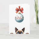 Search for cute kitten christmas cards Kitty