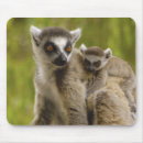 Search for infants mousepads Suckling
