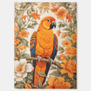 Search for conures magnets Sun conure