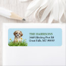 Search for yellow daffodils return address labels Garden