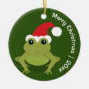 Search for santa frog christmas decor Animal