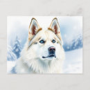 Search for husky postcards Snow