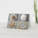 Search for conch shell cards Starfish