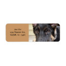 Search for black german shepherd return address labels Puppy