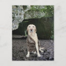 Search for man cave invitations Funny
