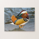 Search for duck puzzles Colourful