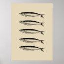 Search for sardine posters Sea