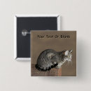 Search for gray cat badges Kitty