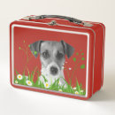 Search for dog lunch boxes Red