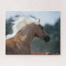 Search for palomino horse puzzles Headshot