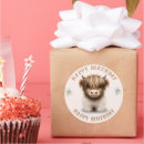 Search for scottish highlands stickers Scottish highland cow