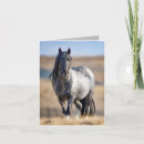 Search for closeness cards Horse