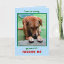Search for please forgive me cards I am sorry