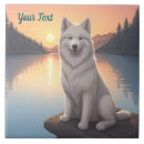 Search for eskimo spitz Samoyed