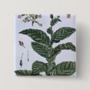Search for 1807 badges Botanical