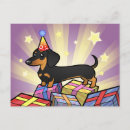 Search for smooth cards Animal