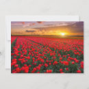 Search for rural cards Sunset
