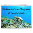 Search for aquatic photography Underwater