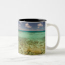 Search for turks caicos mugs Shallow