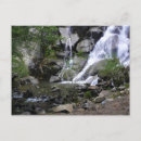 Search for grizzly postcards National