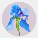 Search for blue iris stickers Flower