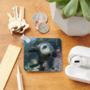 Search for animal key rings Beach