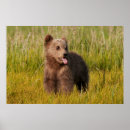 Search for funny baby posters Cute