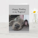 Search for humorous birthday cards For him