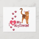 Search for abyssinian postcards Pets