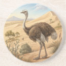 Search for ostrich coasters Bird