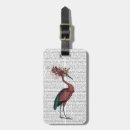 Search for crow accessories Animals
