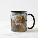 Search for abyssinian cats mugs Kitten